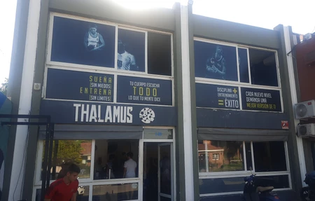 Thalamus Alto Rendimiento