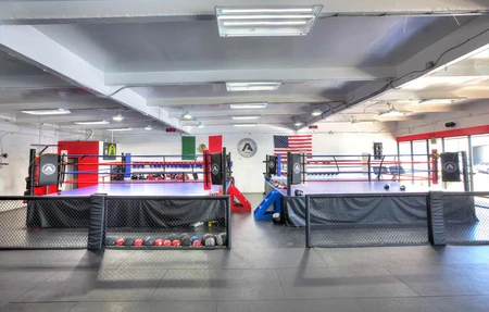 The Arena Gym - Gym in San Diego, United States