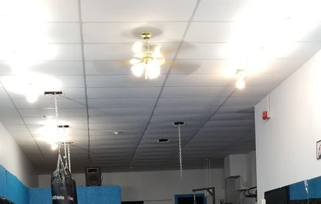 Capoeira Guanabara .Brazilian Jiu-Jitsu. MMA. Muay Thai & Brazilian Dance