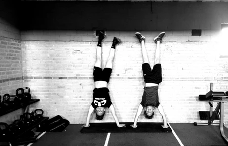 DELLY Zoo-ALLROUND Gym