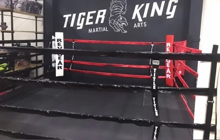 Tiger King Martial Arts