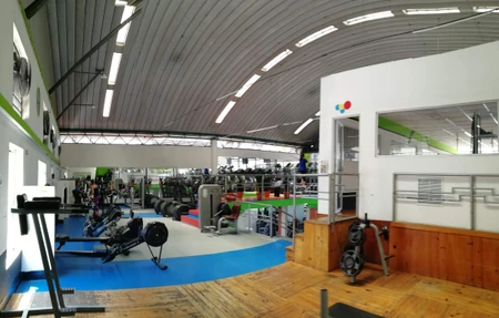 Scandinavia Gym San Lucas