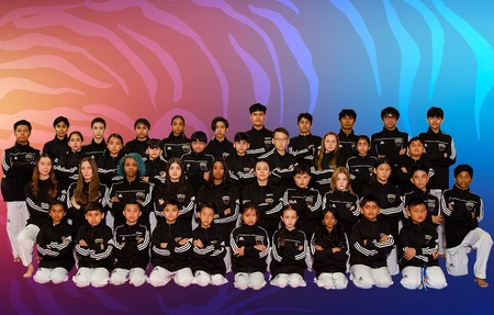 American Martial Arts Academy Naperville