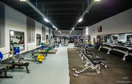 Team Wild Warhouse Gym