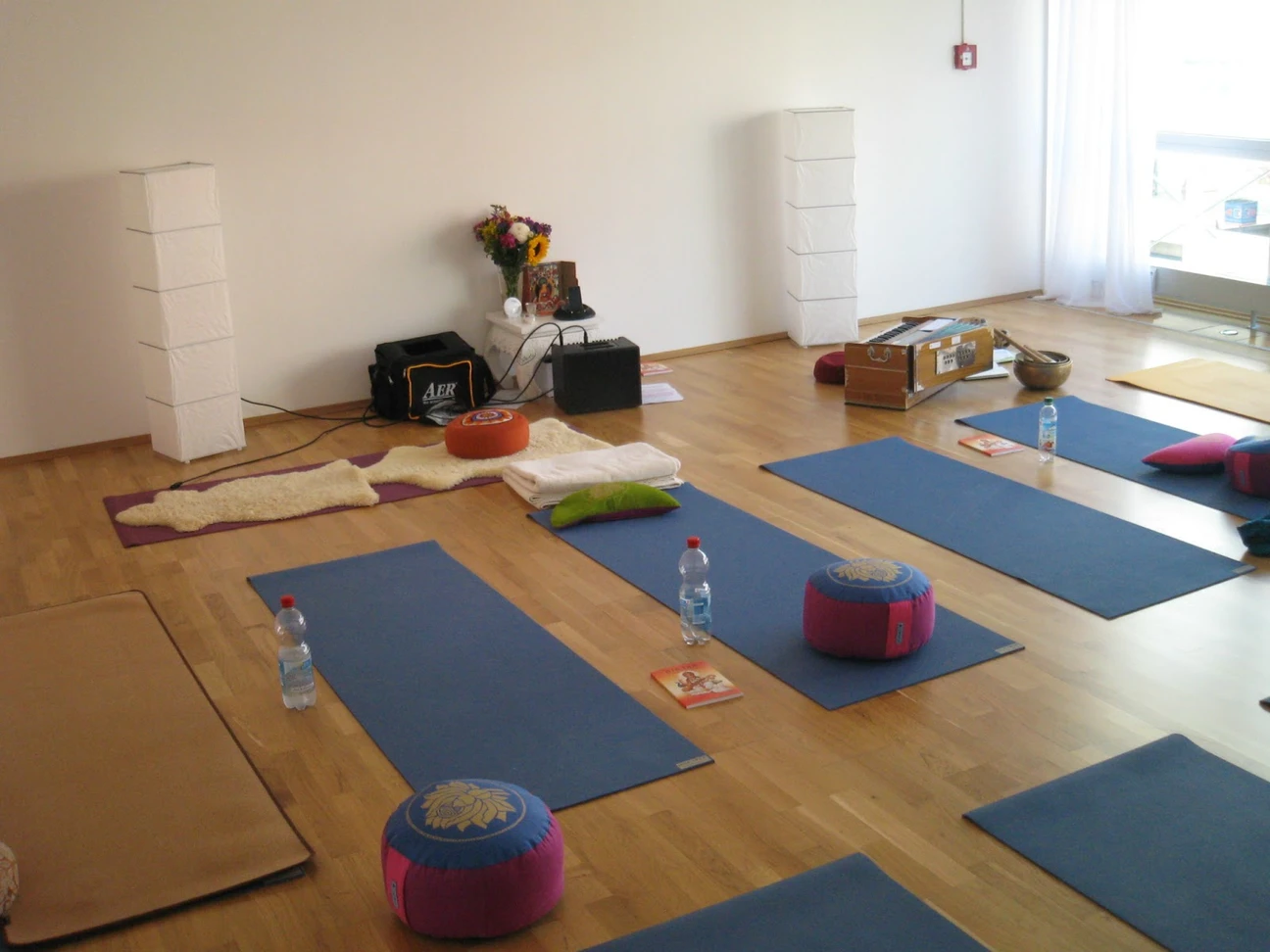 Photo 5 of Yoga Lotus Flower - Claudia Dahnelt