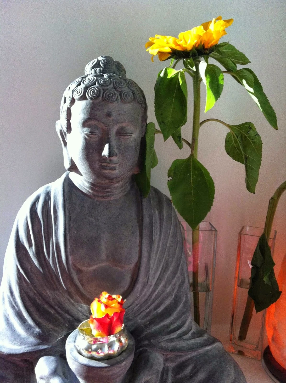 Photo 7 of Yoga Lotus Flower - Claudia Dahnelt