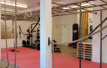 MovNat Stockholm - Naturlig Rörelse