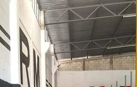 Bull Gym Francisco I Madero