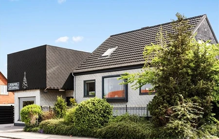 Ananda Marga Denmark