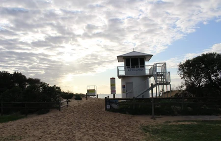 Fairy Meadow Surf Club