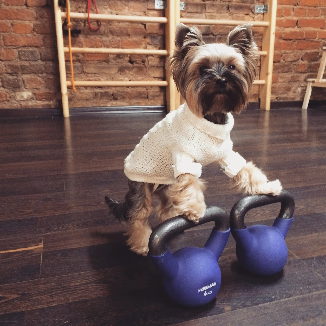 Photo 5 of Fitness Studio Oksana Schezhinoy