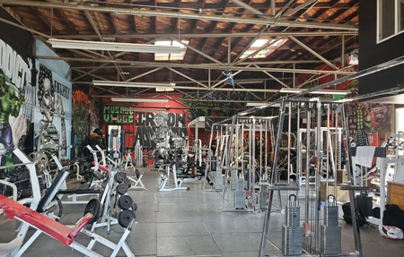Iron Addicts Gym