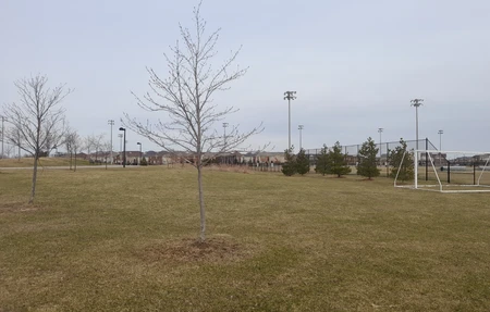 Milton Community Field 3 - Gym in Milton