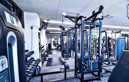 Elos Fight And Fitness