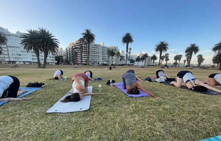 Escuela De Yoga Noel Amuz