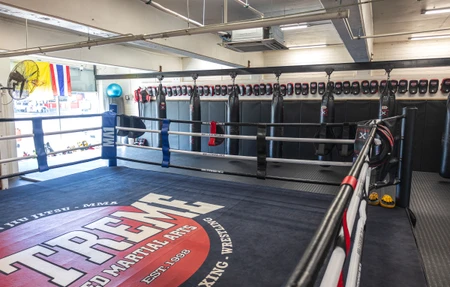 Extreme Mixed Martial Arts Mma Melbourne