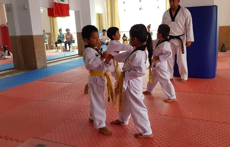 Tanaka Taekwondo Club Sjl
