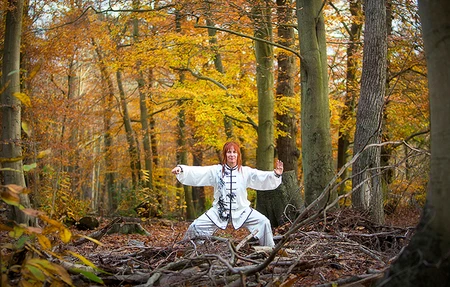 Surrey And Hants Tai Chi Qigong Mytchett