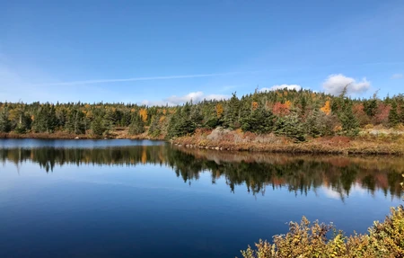 The Goosepond Trail - Gym in Bay Roberts, Canada