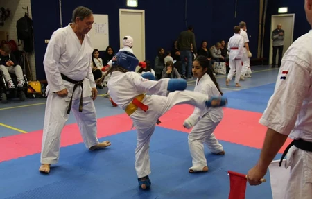 Budo Vereniging Dojo Saikoro