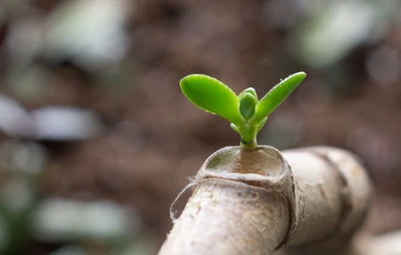 Open Way Yoga - Gym in Huron