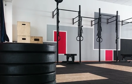 Crossfit Greyhound