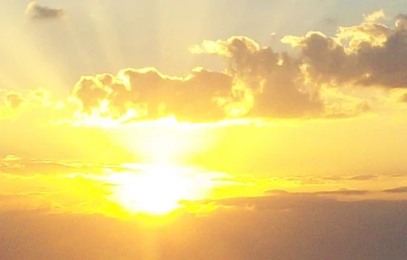 Mindful Lives