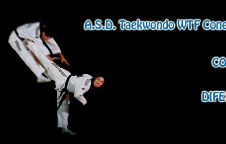 A.S.D. Accademia Taekwondo WT Treviso Conegliano