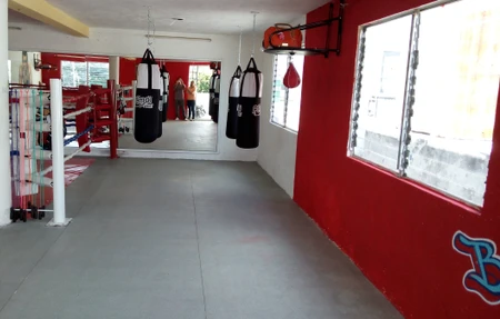 Reyes Del Ring Boxing Club
