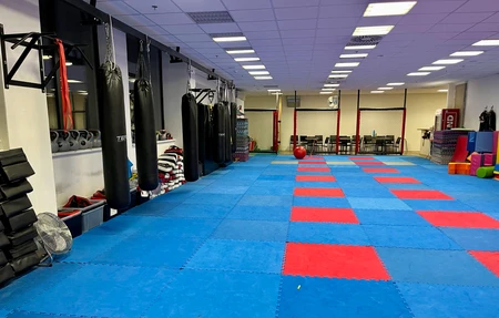 Tiger Gym Ippavlova