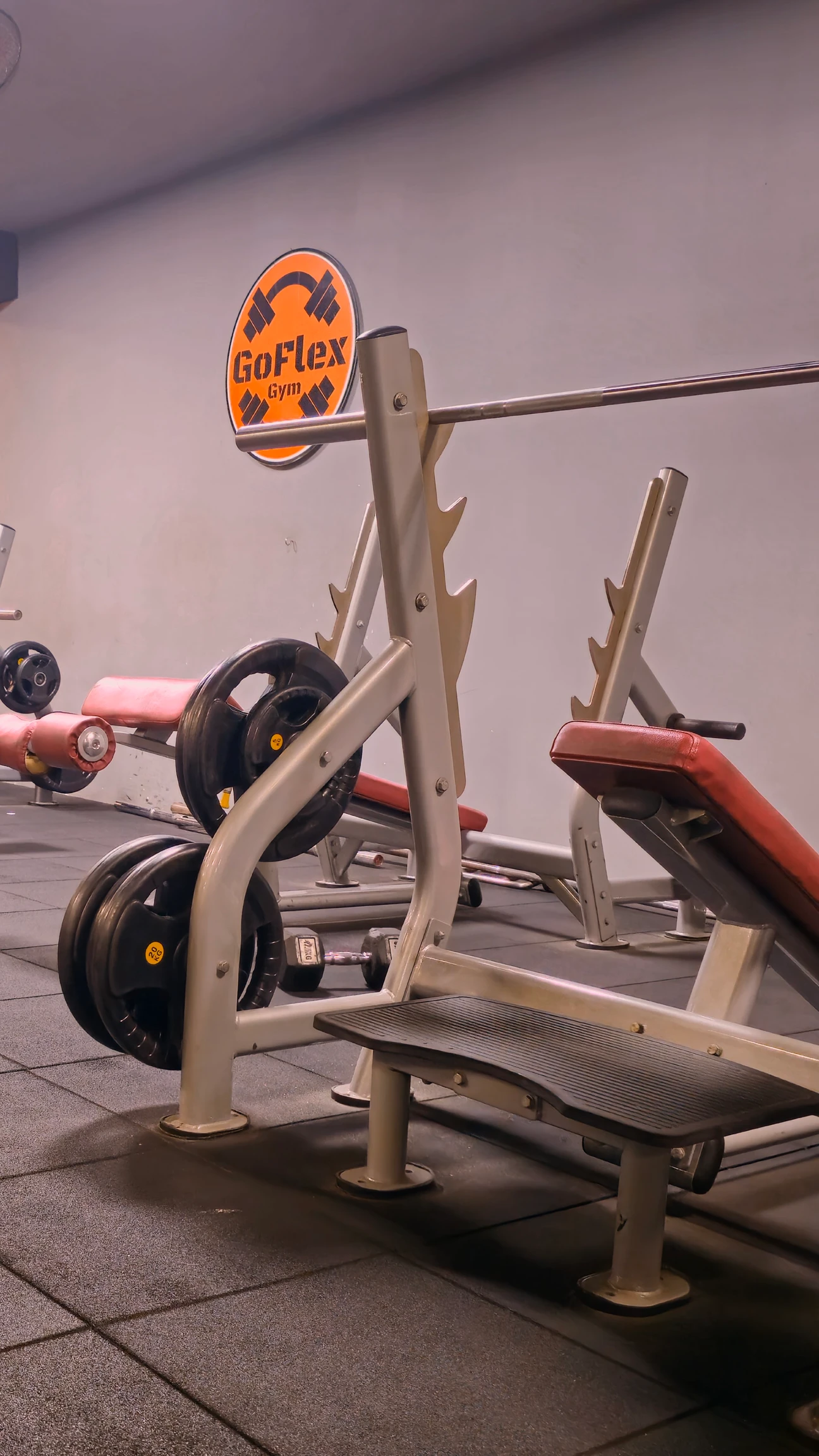 Photo 4 of GoFlex Gym
