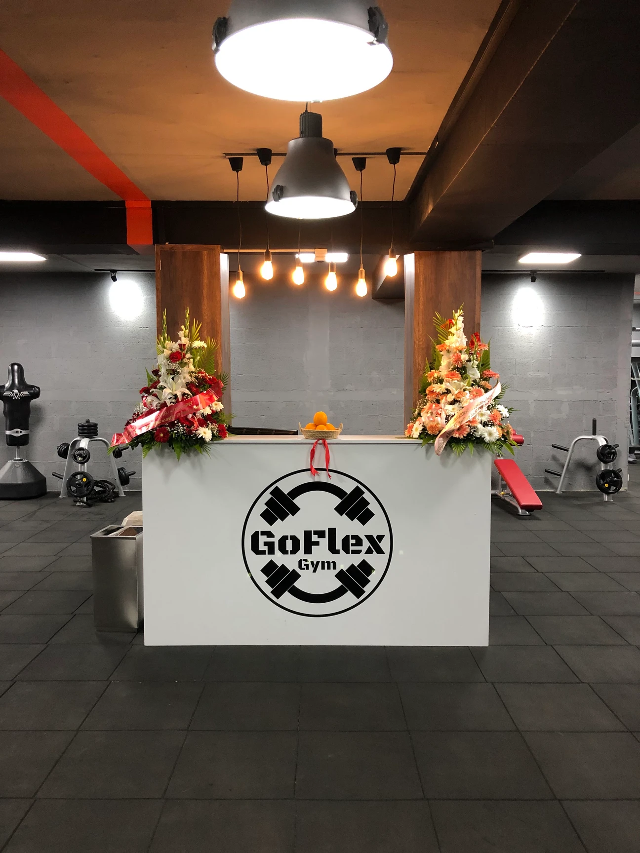 Photo 1 of GoFlex Gym