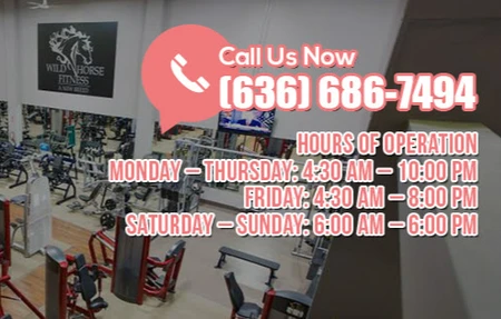 Wild Horse Fitness - Gym in Ballwin, United States