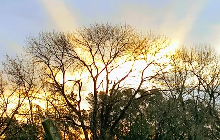 Colegio Sagrada Familia: Campo Deportivo La morenita