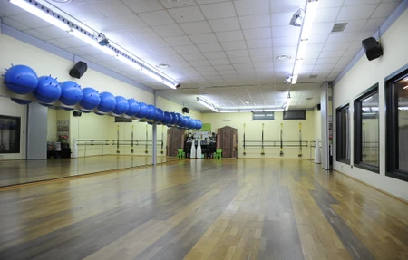 Fitness Dance Parco Borromeo