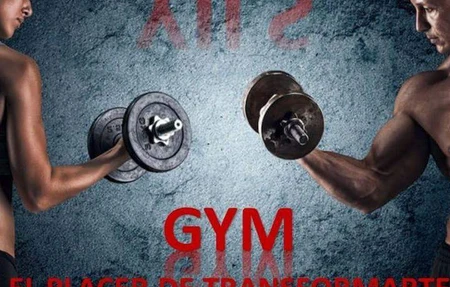 Gimnasio Yils