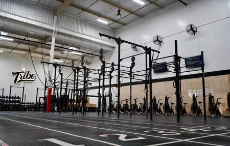 Tribe Athletics - Los Alamitos, CA