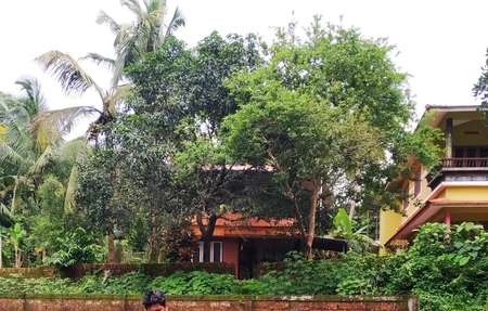 Kadannappalli Pond