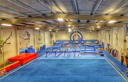 Gold Cup Gymnastics School