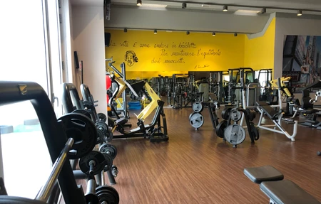Dynamica Fitness Ltd