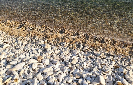 Pineta a Barbigia Beach