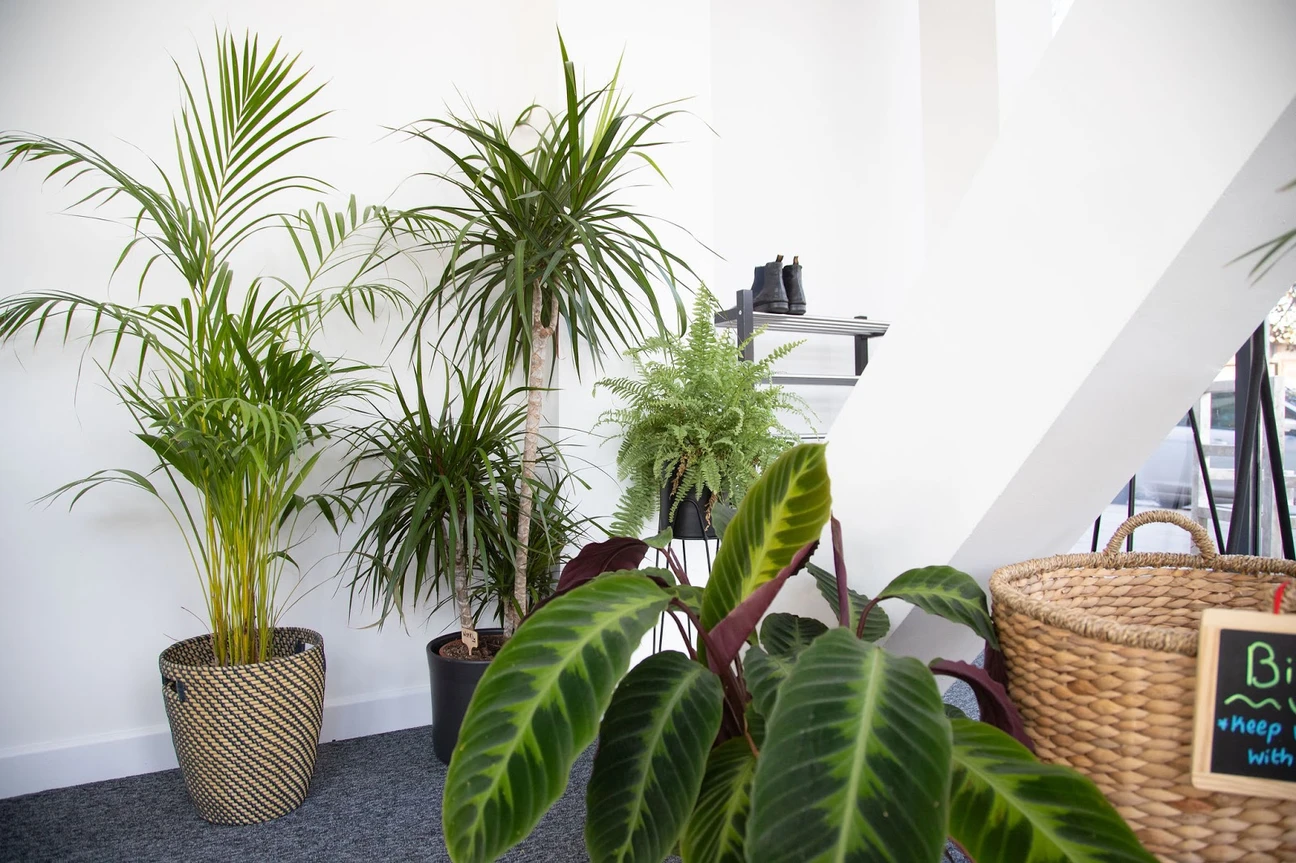 Photo 4 of Calm - Yoga, Pilates & Mindfulness Studio - Derby