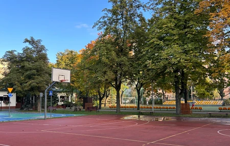 Atheletic Field - Gym in Warsaw