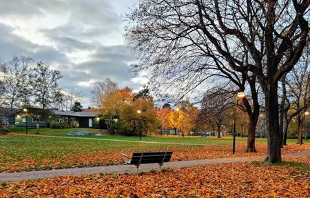 Enskede Tallkrogen - Gym in Stockholm, Sweden