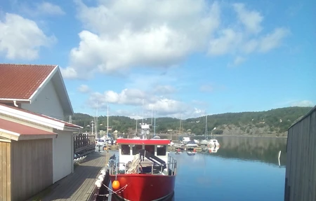 Ljungskile