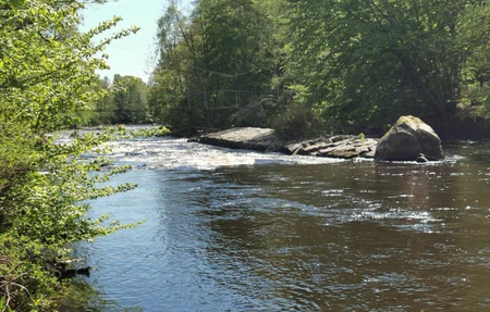 Morrum