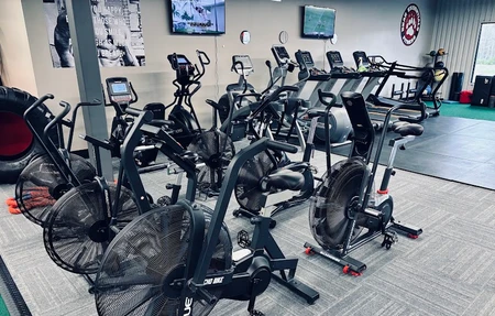 Bear Essentials Fitness