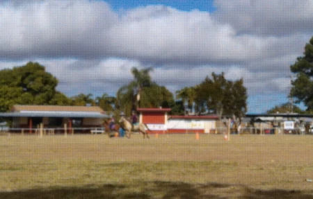Mareeba pony club