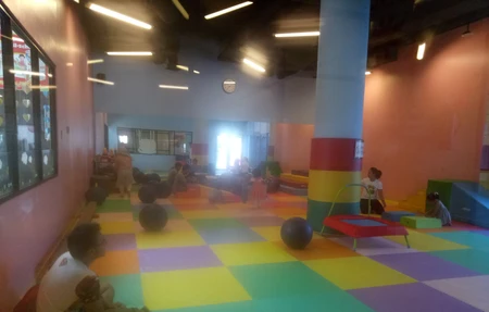 Little Monkey Gym Kid's & Teens