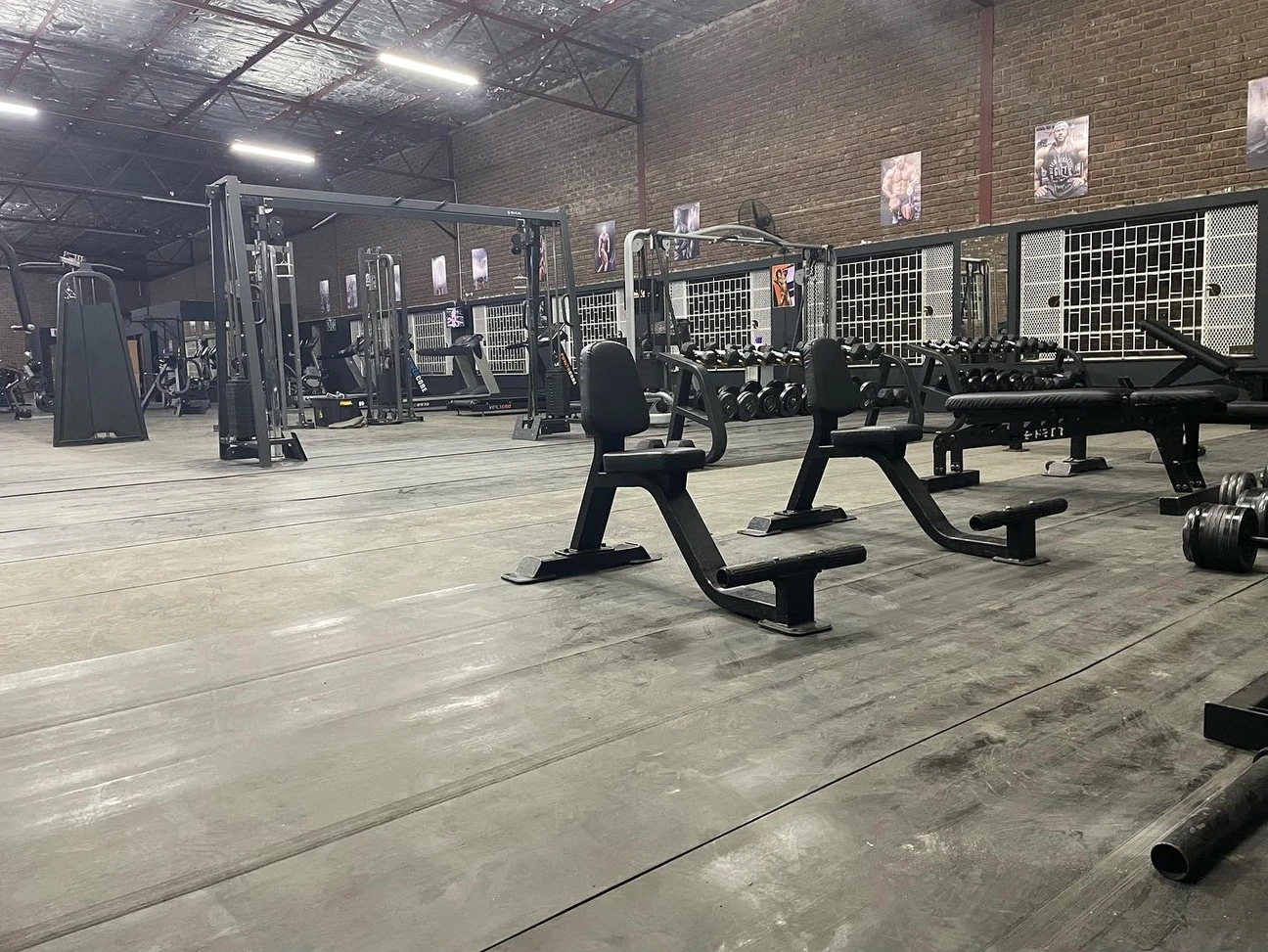 Undisputed Fitness